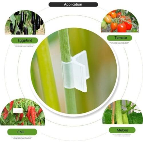 Universal 20Pcs Agriculture Grafting Clips Flower Plant Vine Branches Clip Gardening And Planting Aids