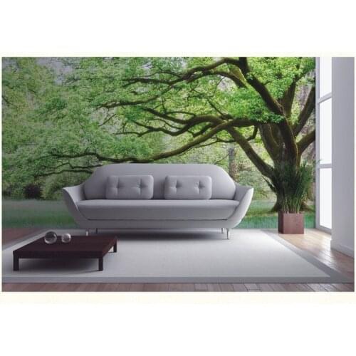 3d Wallpaper Murals Nature Landscape Scenery Trees 3d Papel murals 3d wall photo murals for living room background 3d Wall paper