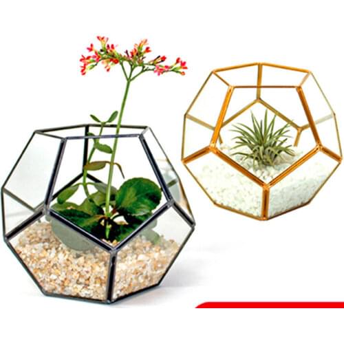 Geometric Glass Pentagon Terrarium Container Window Sill Decor Flower Pot Balcony Planter DIY Makeup Tool Storage & Display Box