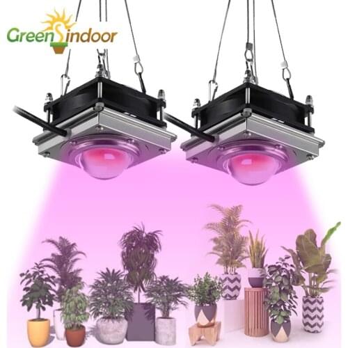 2PCS COB LED Grow Light 150W Phyto Lamp Phytolamp For Plants Seedlings Flowers 220V 110V Indoor Growing Lamp For Home Plant Led