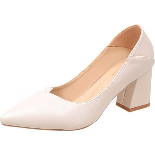 Womens two high-heeled shoes with thick 2020 new spring and autumn Korean version of wild pointed small fresh 6cm heel shoes