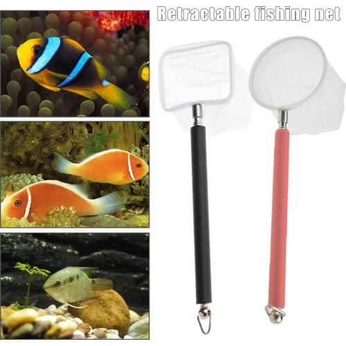 Aquarium Shrimp Net Mini Fish Net Fine Mesh Telescopic Tiny Skimming Quicknet with with Stainless Long Handle M56