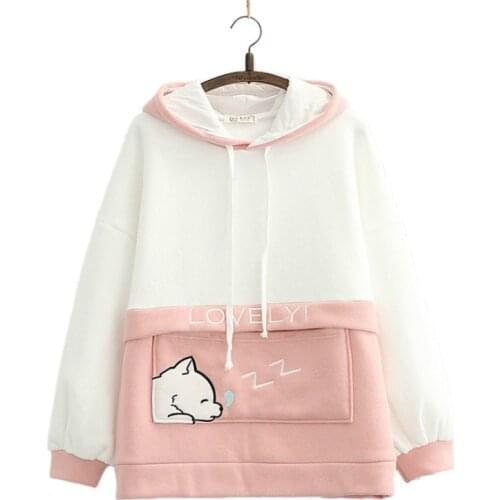 Fleece Hooded Sweatshirt Harajuku Cartoon And Letter Embroidery Casual Hoodies Women 2020 Winter Sweet Style Teen Girls Top