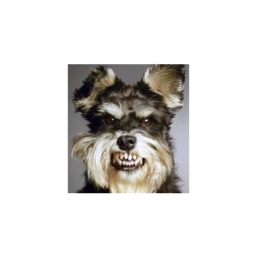 NATO Emergency Battery 2-IN-1 Sabre Outdoor Tool-Keychain Mace Animal