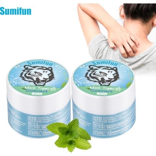 2Pcs Tiger Balm Cooling Oil Summer Refreshing Mosquito Bite Anti itch Cream Relieve Cold Dizziness Headache Body Care Plaster