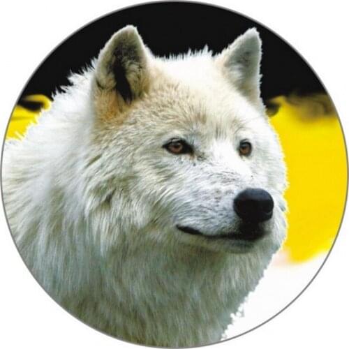 S52013# 13/15/17CM Personality PVC Decal Imperial Flag with Wolf Waterproof Car Sticker on Motorcycle Laptop Decorative