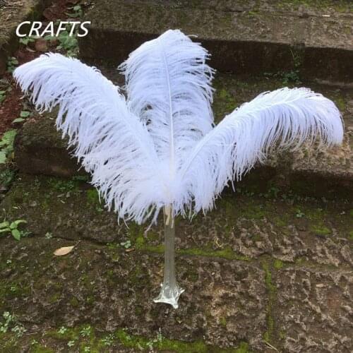 10 pieces of high quality milk white ostrich feathers 10-75 cm custom DIY decoration wedding party