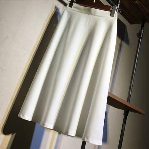 DANCING WINGS Pleated Skirt