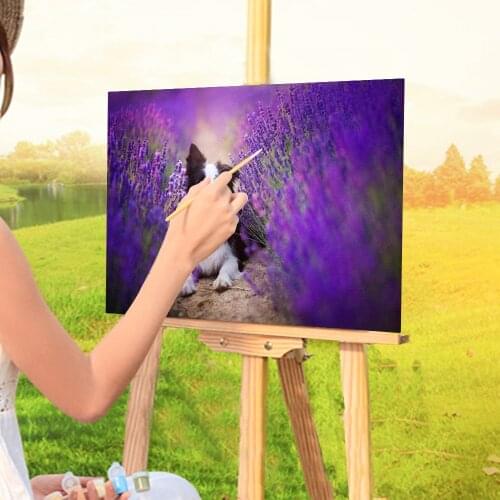 Animal Border Collie DIY Paint By Numbers Package Oil Paints 50*70 Painting On Canvas Loft Wall Picture Crafts Adults Drawing