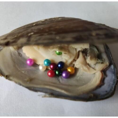 10 Colored Mini Round Pearls in Freshwater Oysters Freshwater Mini Monsters with 10 Baby Pearls Wish Pearl Party Gift PO7
