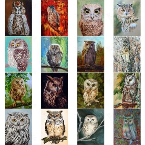 5D Diy Diamond Painting Animal Owl Tilting Head Simple Artist Home Decoration Square Diamond Round Diamond Cross Stitch Kit