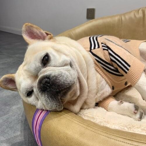 Fashion Striped Cardigan Dog Sweater for Small Medium Dogs Winter Schnauzer Sweaters Pets Dogs Cats Clothing Dropshipping A154