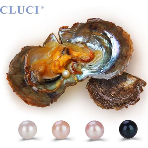 CLUCI Round Oval 6-7mm Akoya Pearl Bead Vacuum Packed Saltwater Single Twins Pearl in Oysters White Pink Purple Black WP366SB