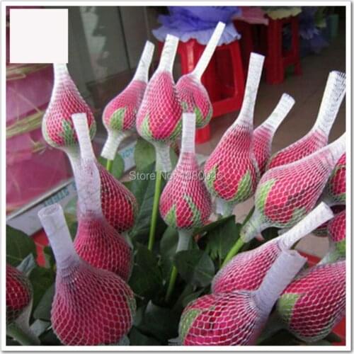New arrival 12*0.6cm 2000pcs PP Flower sleeves net flower mesh sleeve net fruit sleeve net flower sleeve net packing material