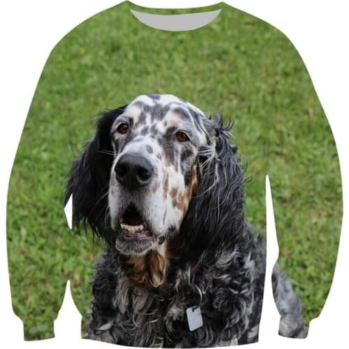 Spring Autumn Boys Girls 4-13Y Long Sleeve Print T-Shirt Children Animal English Setter Dog Graphic Costume Tshirts Kids Clothes