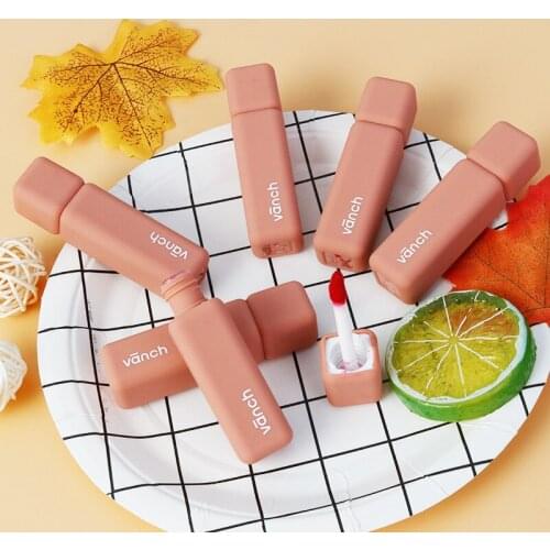 Make up cosmetic lip gloss long lasting lipstick moisturizing Soft and Creamy lipstick glaze