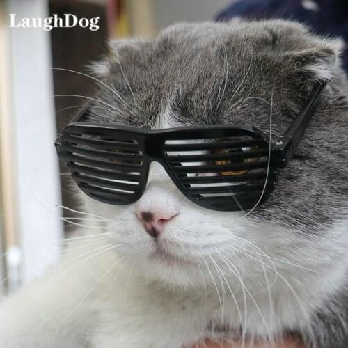 LaughDog Clothes For Cats