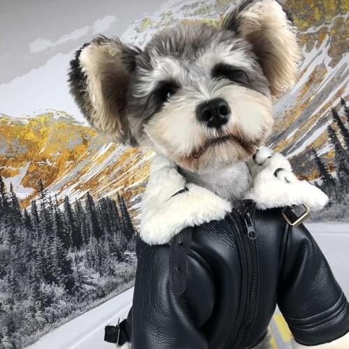 Winter Warm Dog Jacket for Small Dog Down Coat PU Jackets Coats Fur Collar Puppy Fleece Poodle Schnauzer Bulldog Costumes