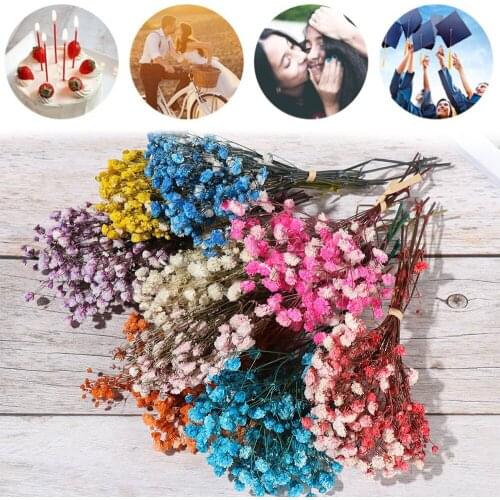 1 Bouquet Mini Babysbreath Natural Fresh Dried Preserved Flowers Natural Dried Flowers Bouquet Dry Flowers Press Decorative