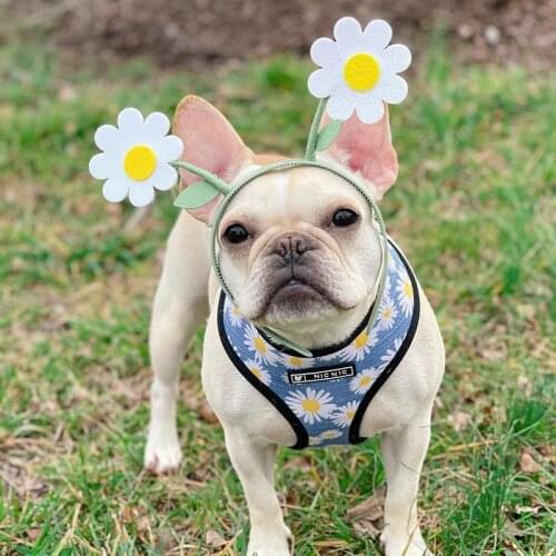 INS Daisy Pet Harness for French Bulldog Small Medium Dogs Polyester Leashes Pug Frenchie Pet Harness Vest Print Dog Accessories