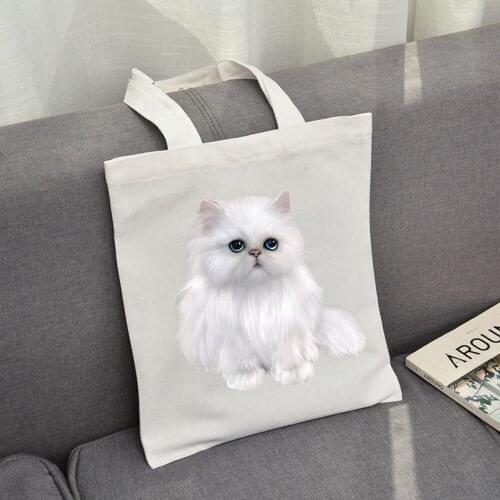 Original Cat Cartoon Canvas Bag Custom Ecological Bags Logo Custom Shopping Bags Reusable Cotton Bag Recycling Bag 3D Print