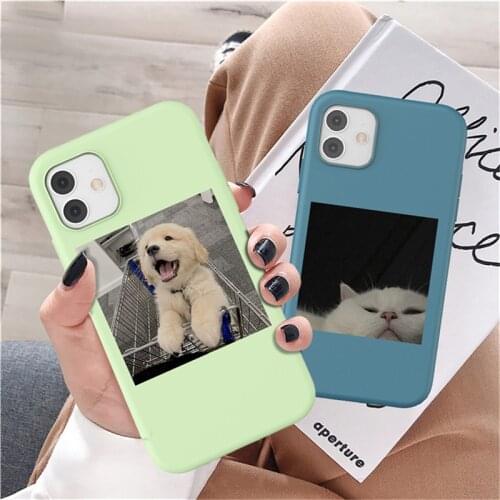 Funny Dog Cat Solid Color Phone Case For iPhone 12 11 Pro Max Mini X XR XS 7 8 Plus SE 2020 Soft TPU Silicone Fundas Capa