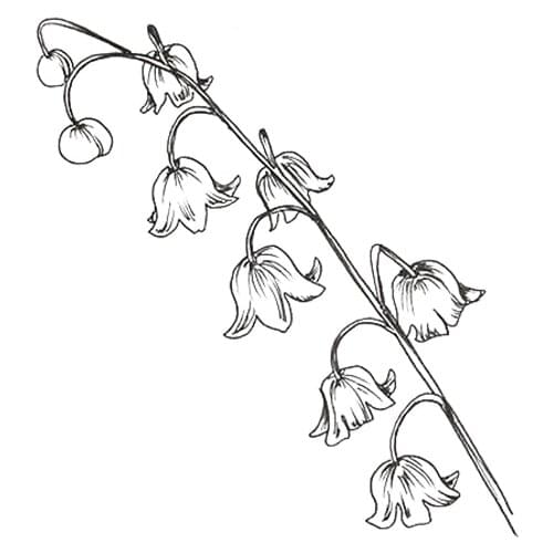 Clear Stamps Bunch of Flowers Rubber Transparent Stamps Silicone Scrapbooking for Card Making Album Craft Decor New Stamp 2019