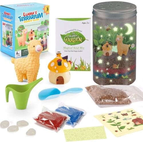 New Terrarium Kit Magic Educational DIY Toy Set With Light For Early Eduaction Intellectual Development Toys For Economical