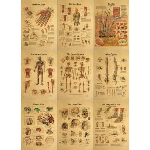 The human body muscular system Structure HD Vintage Paper Poster Bar Home Decor Retro Kraft Paper Painting 42x30cm