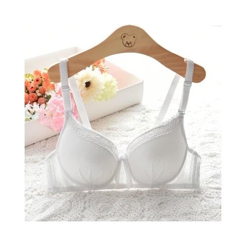 Mozhini Fashion Women Push Up Bra For Small Breast Double small Size Push Up Bra gather chest t shirt Bra student girl Sexy bra