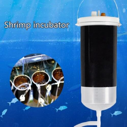 Fairy shrimp egg artemia alive hatch tool air pump Brine aquarium Baby fresh small baby Shrimp food fish G1U5