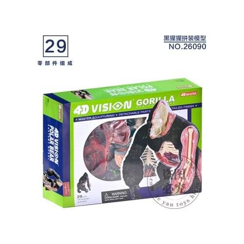 Animal Anatomical Assembling Biological Model orangutan anatomical model 225*175*185mm