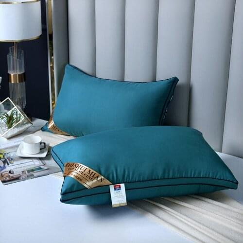 Home textile comfortable pillow