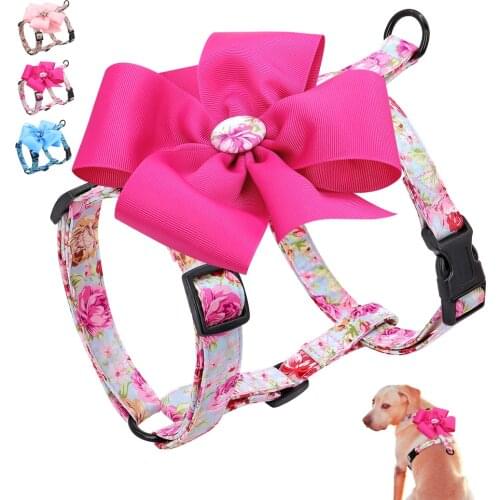 Pretty Flower Dog Harness Nylon Dogs Cat Vest Harnesses With Flower Accessory for Small Medium Large Dogs Cats Pitbull Chihuahua