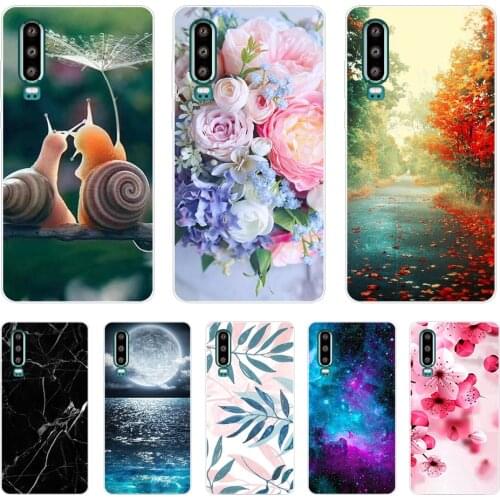For Huawei P30 Pro Case Huawei P30Pro Case soft Silicon TPU Phone Cover On Huawei P30 Pro VOG-L29 ELE-L29 P 30 Lite coque bumper