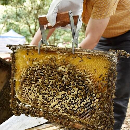 Farm Beehive Frame Holder Lifter Stainless Steel Capture Grip Nest Box Jig Bee-keeping Equipment Accessories Beehive Clip