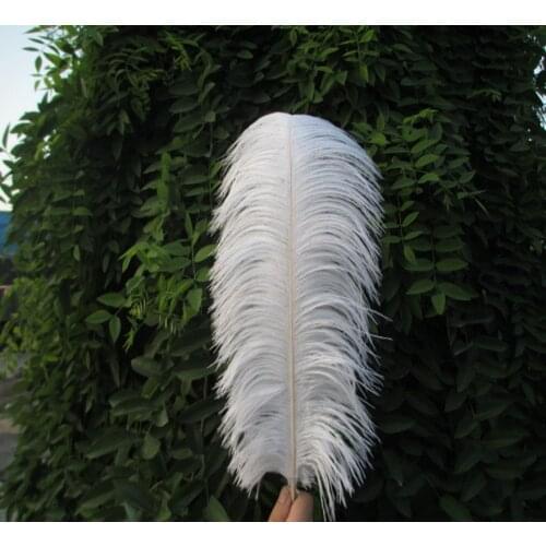 Wholesale Beautiful white ostrich feathers 10pcs 16-18 inches / 40-45 cm Free Shipping