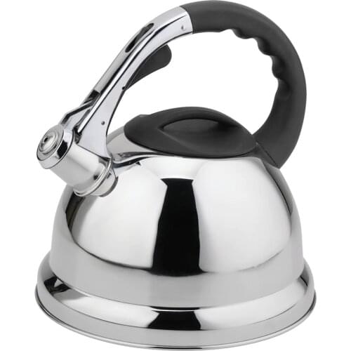 Hausroland 4.5l Stainless Steel Whistling Kettle Big Size Induction Water Teapot