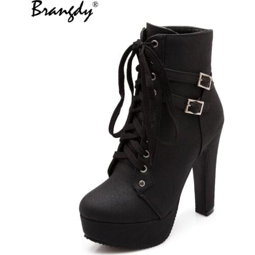Woman Lace Autumn Boots Womens Ladies Chunky High heel Platform Black Sexy Zipper Ankle Boots Punk Goth shoes