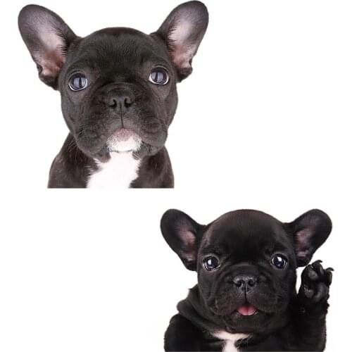 Three Ratels QD 101 Cute puppy PVC self adhesive sticker for car hood moto bike laptop gift wall sticker for home decoration