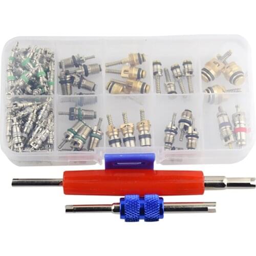 100 Pieces Car R12&R134 A/C Air Conditioner Schrader Valve Core with 2 Pieces Remover Tool