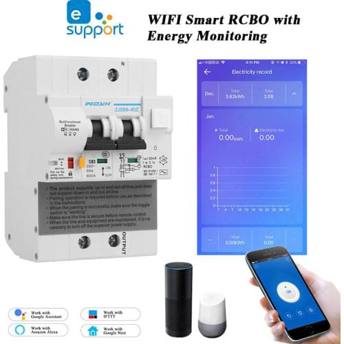 EWelink 2P wifi energy monitoring RCBO circuit breaker overload short current leakage protection with Alexa and google home