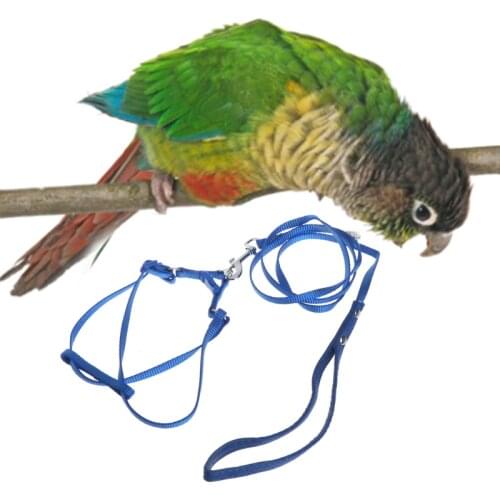 Parrot Leash Pet Harness Outdoor Adjustable Anti Bite Training Rope Flying Band