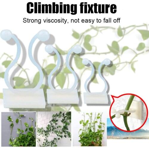 10/20/50Pcs Wall Rattan Plant Fixing Clip For Greenhouse Hanging Vines Home Decoration Rattan Frame Gardening Supplies