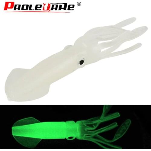 Proleurre Fishing Lure For Carp