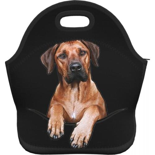Cute Animal Dog Adults Children Lunch Bags for Work School Food Storage Box Pouch for Picnic Hiking Top Handle Cooler Bags