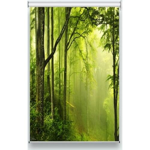 Profession print HD roller blinds Forest fog Living room bedroom hotel window roller blind Sunscreen Roller Blinds
