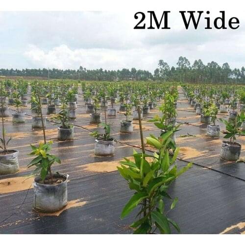 2M Wide 5m Length Black Plastic Mulch Film Agricultural Anti Grass Cloth Weed Barrier Mat Orchard Garden Weeding Cloth