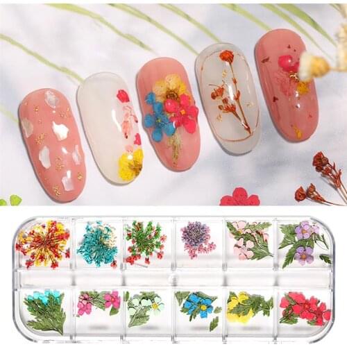 3 Sets Nail Dried Flower Fashion Decorative Nail Art Decor Nail Art Supplies 3D Nail Art Designs Manicure Accessories for Women