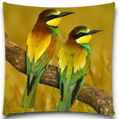 Two Parrot 2D printed 100% Cotton Car chair Decorative Throw pillows Covers for Sofa Square pillow Case 5 size 9 style